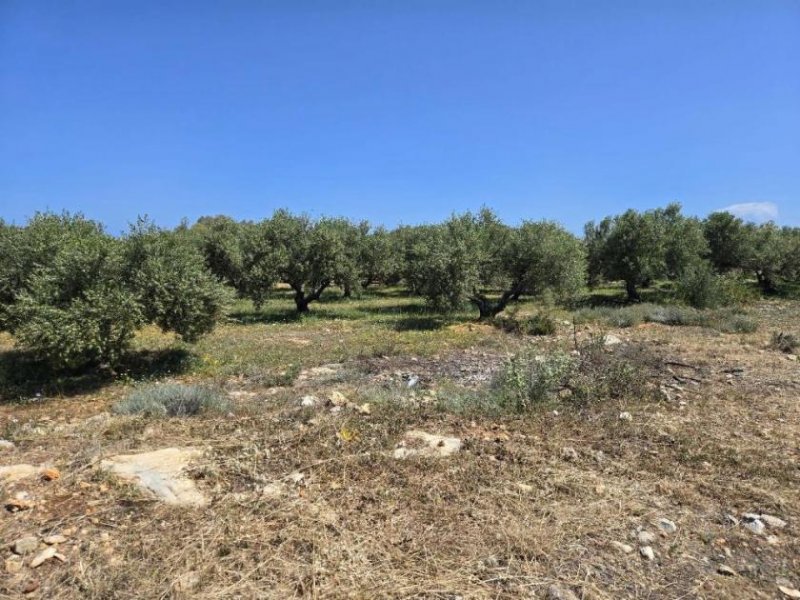 Latsima Kreta, Latsima: Großes bebaubares Grundstück zum Verkauf Grundstück kaufen